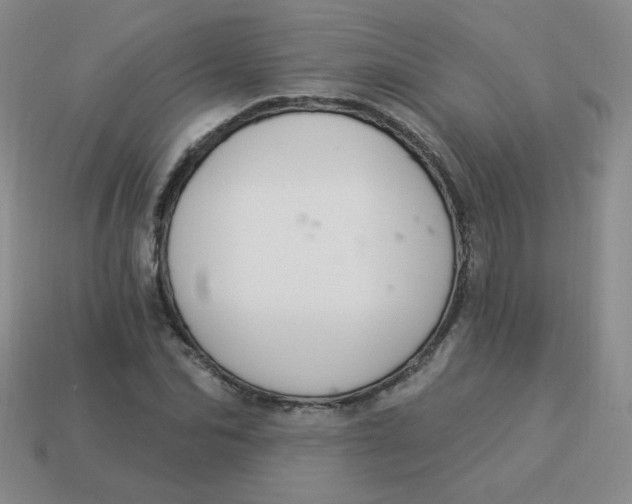 X0000113900974200910151352