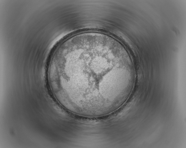 X0000113900975200910151352