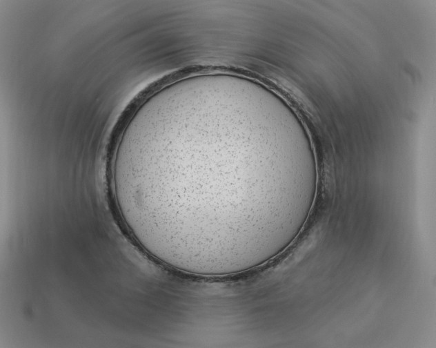 X0000113900976200910151352