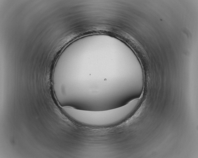 X0000113900977200910151352