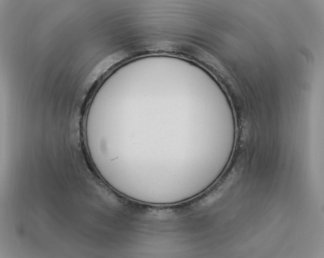 X0000113900978200910151352