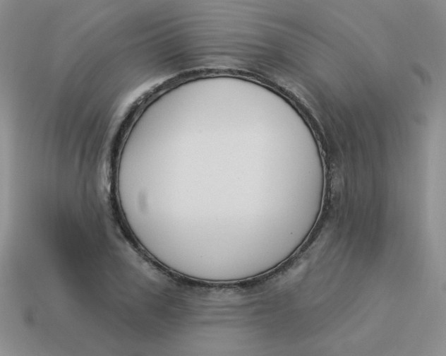 X0000113900979200910151352