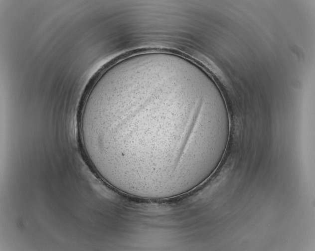 X0000113900980200910151352