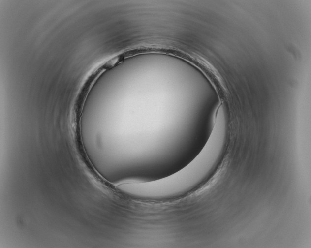 X0000113900981200910151352