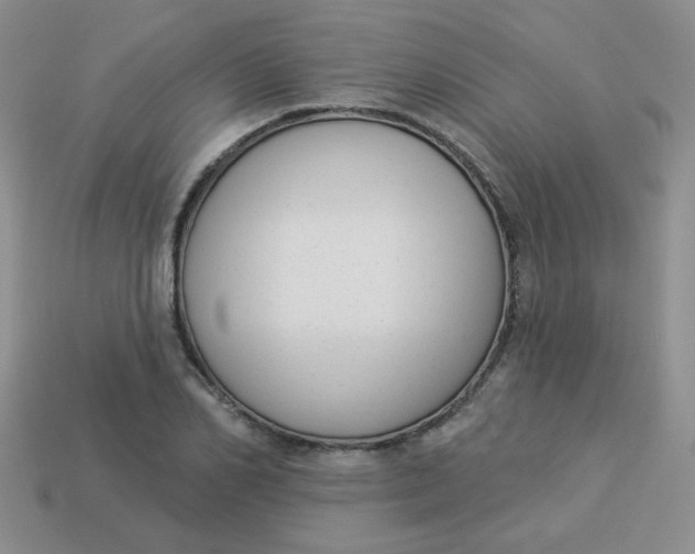 X0000113900982200910151352