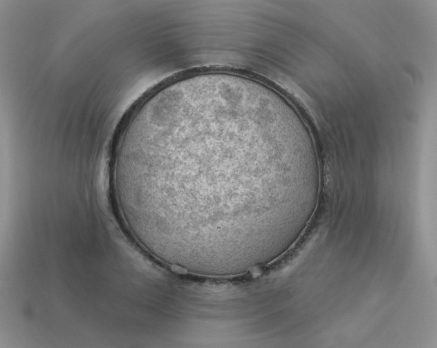 X0000113900983200910151352