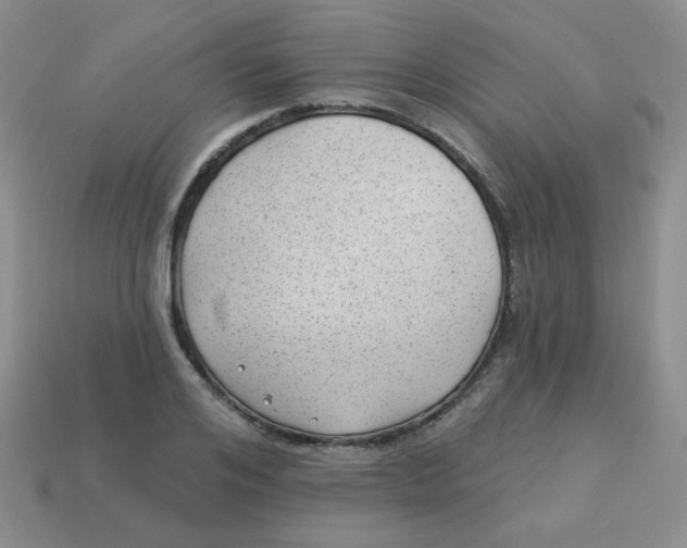 X0000113900984200910151352