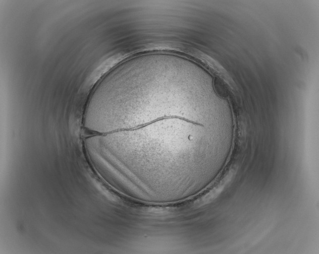 X0000113900985200910151352