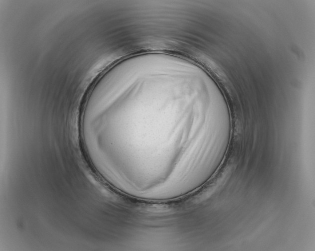 X0000113900986200910151352