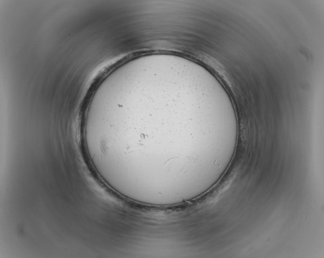 X0000113900987200910151352