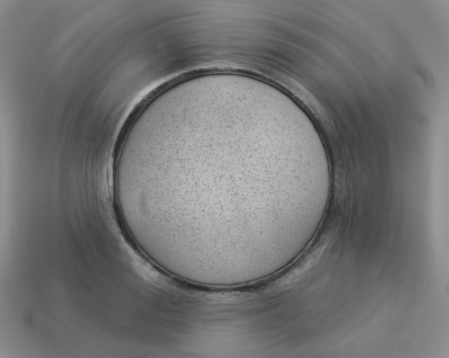 X0000113900988200910151352