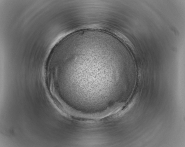 X0000113900989200910151352