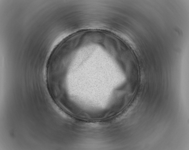 X0000113900990200910151352