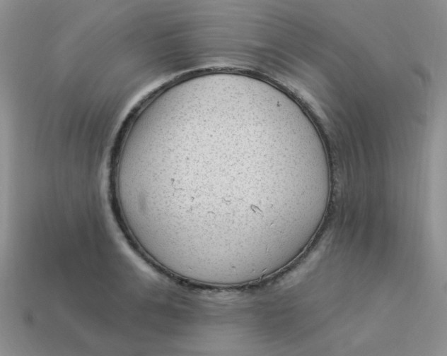 X0000113900991200910151352