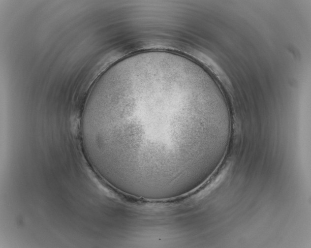 X0000113900993200910151351