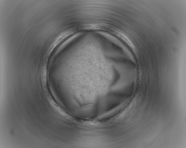 X0000113900994200910151351