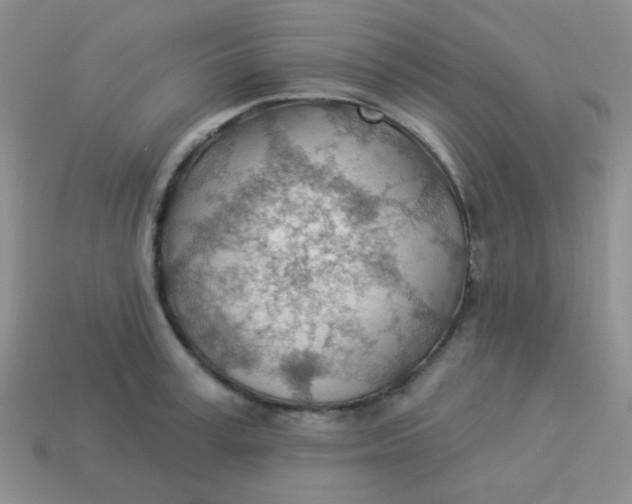 X0000113900995200910151351