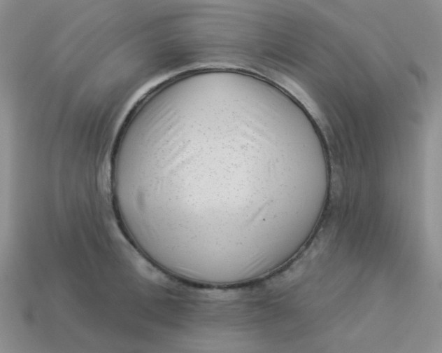 X0000113900996200910151351