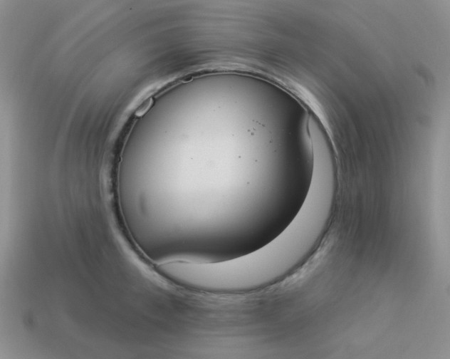 X0000113900997200910151351