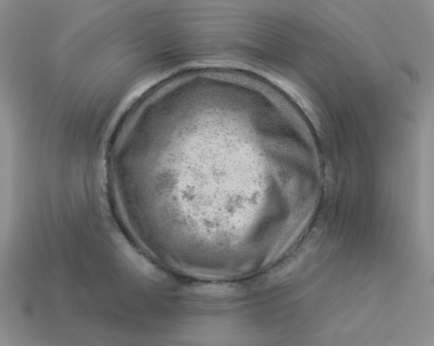 X0000113900998200910151351