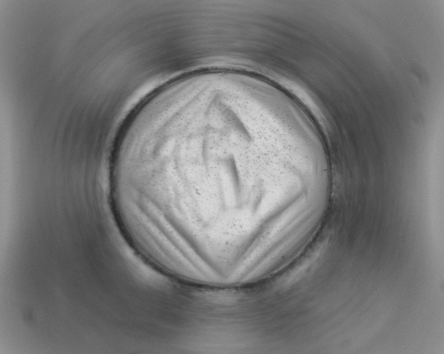 X0000113900999200910151351