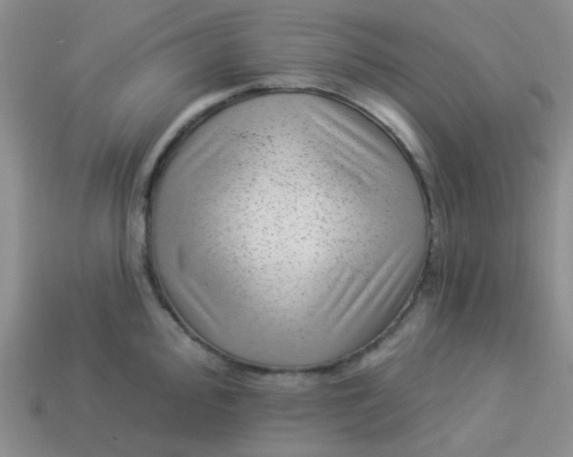 X0000113901000200910151351