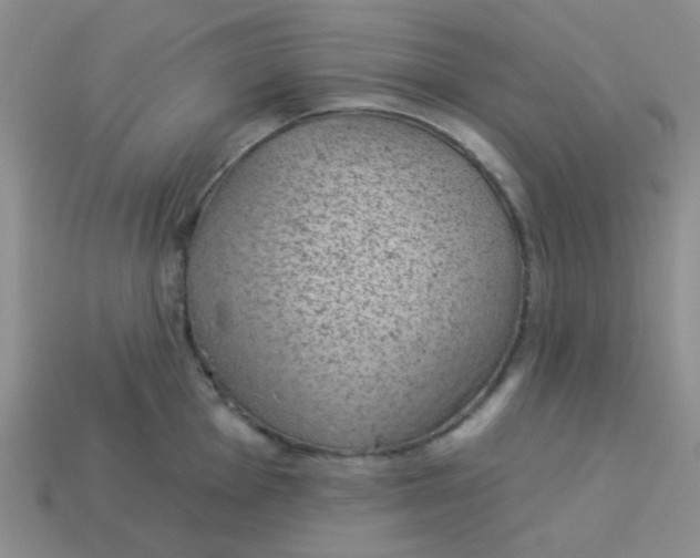 X0000113901001200910151351