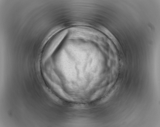 X0000113901002200910151351