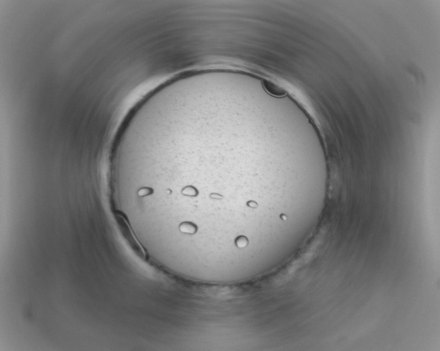 X0000113901003200910151351