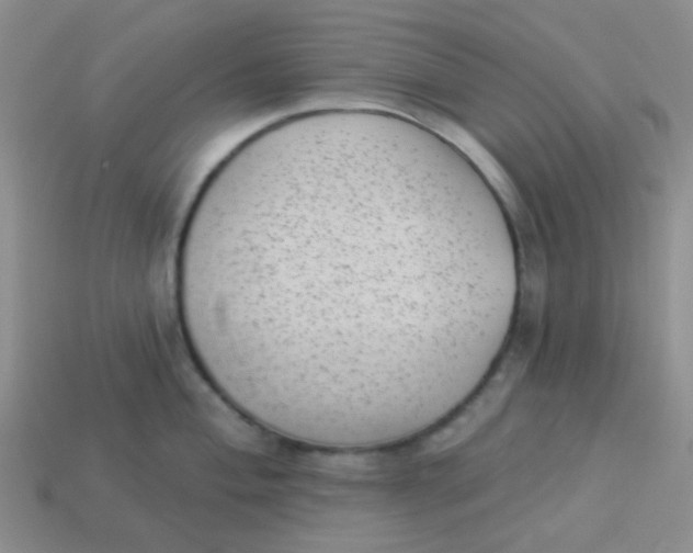 X0000113901004200910151351