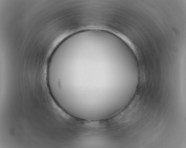 X0000113901006200910151351