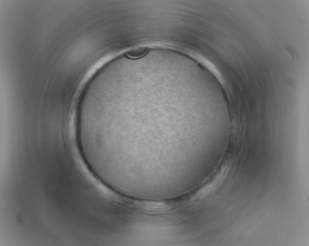 X0000113901007200910151351