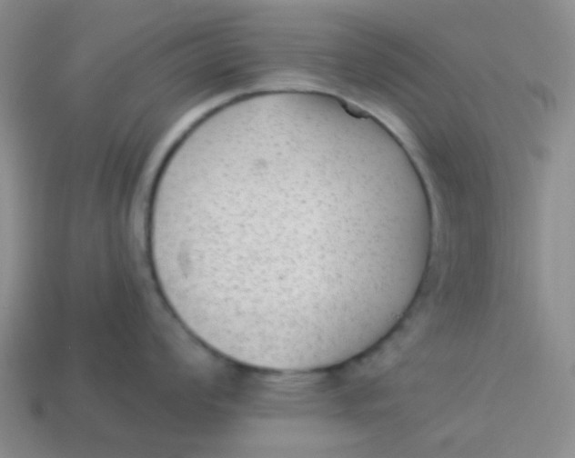 X0000113901008200910151351