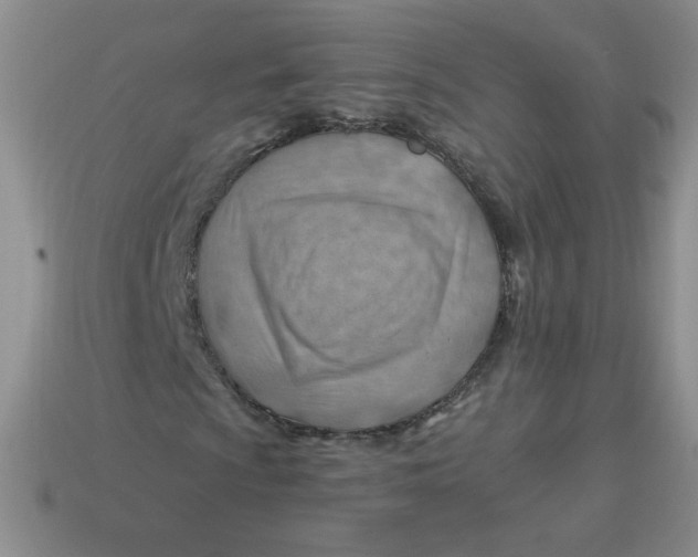 X0000113901009200910151350