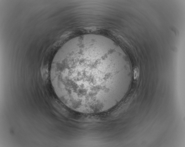 X0000113901011200910151350