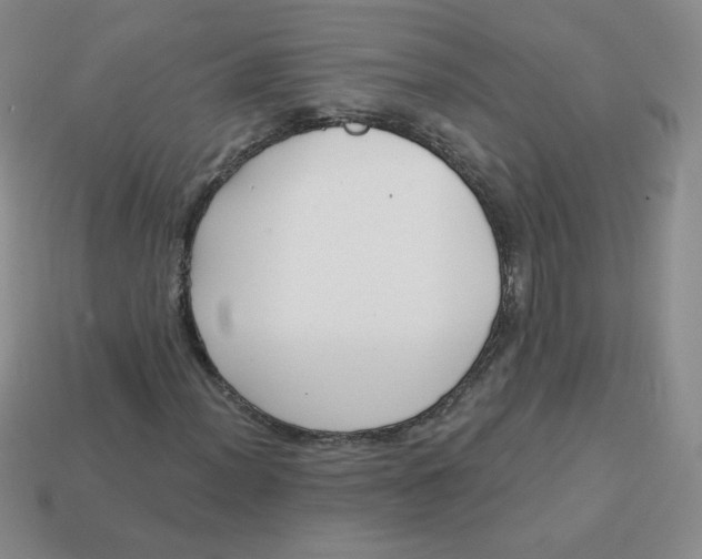 X0000113901012200910151350