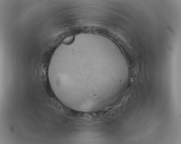 X0000113901013200910151350