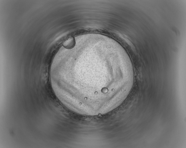 X0000113901015200910151350