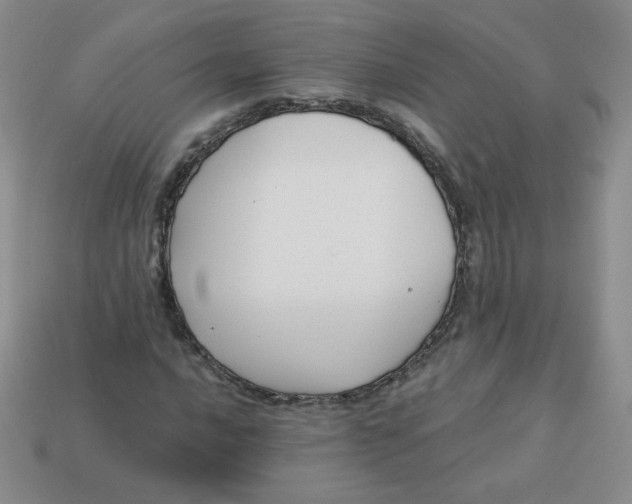 X0000113901016200910151350