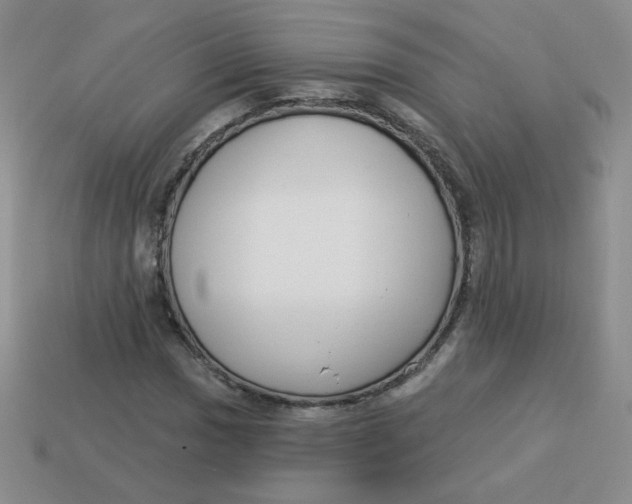 X0000113901017200910151350