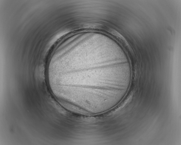 X0000113901019200910151350