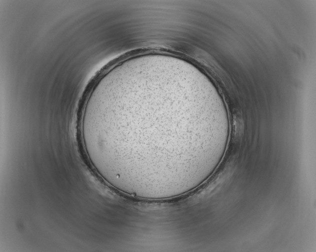 X0000113901020200910151350