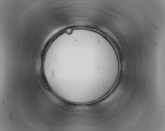 X0000113901021200910151350