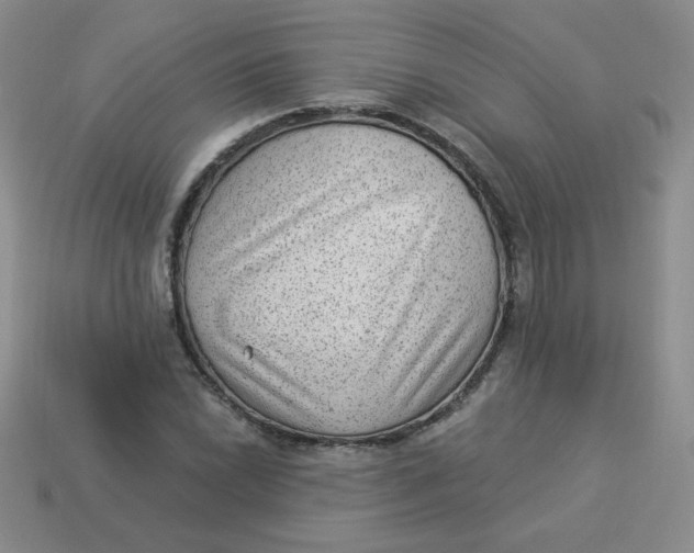 X0000113901022200910151350