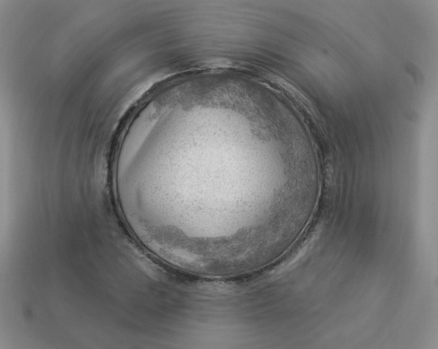 X0000113901023200910151350