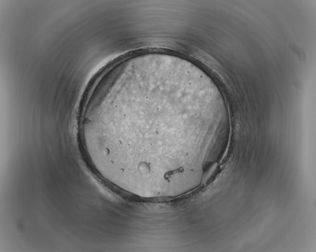 X0000113901024200910151351