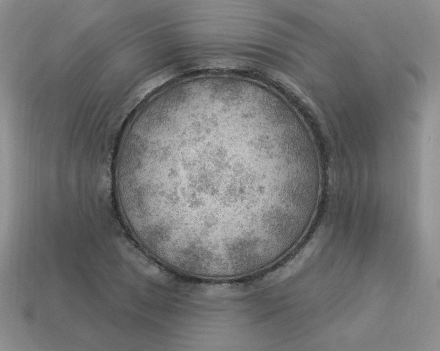 X0000113901025200910151351