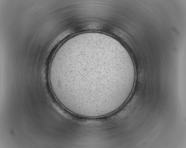 X0000113901026200910151351