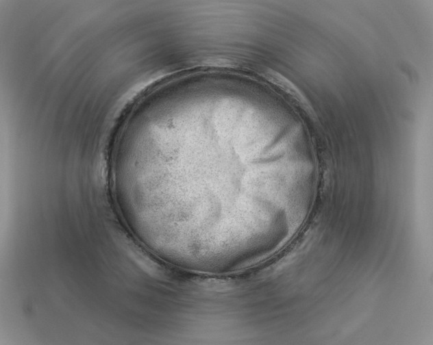 X0000113901027200910151351