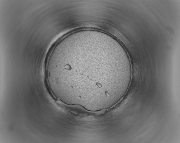 X0000113901028200910151351